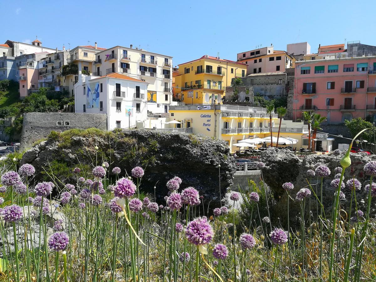 Caletta Del Porto Bed and Breakfast Diamante Buitenkant foto